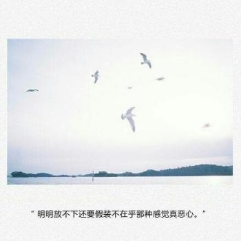 用东野圭吾的方式说爱你唯美文字图片第0张