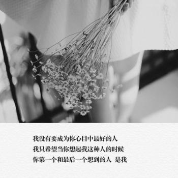 文字图片 _ 第(8)张