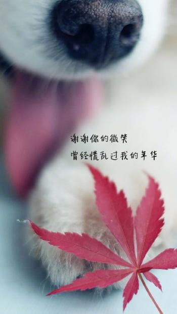 心情图片 _ 第(8)张