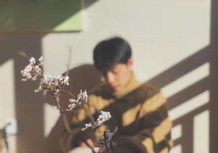明星肖战第3张