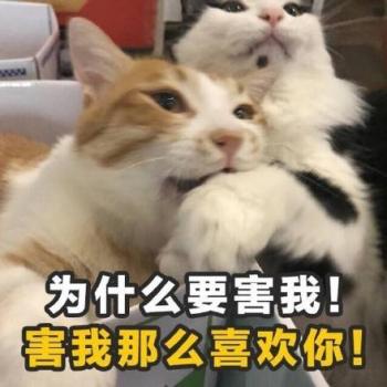 搞笑文字第3张