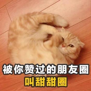 搞笑文字第4张