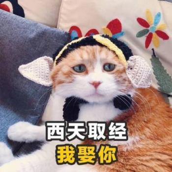 搞笑文字第5张