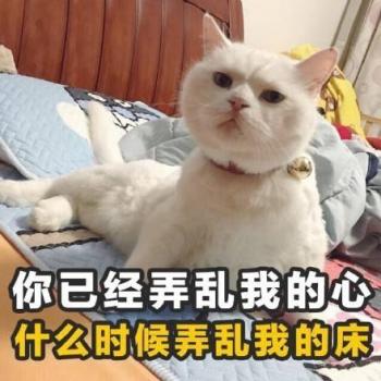 搞笑文字第6张