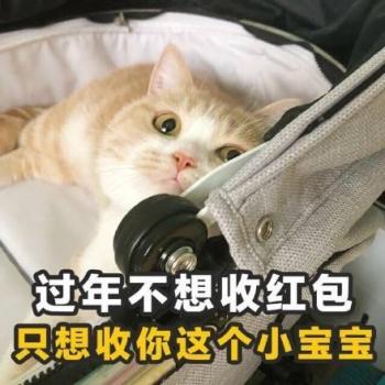 搞笑文字图片 _ 第(10)张