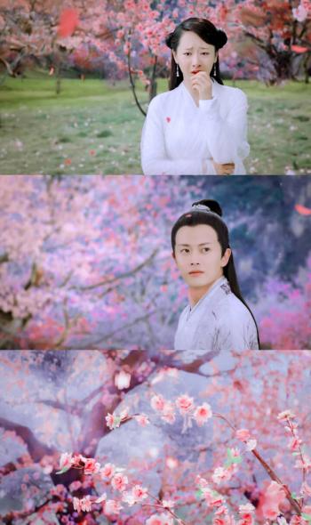 杨紫图片图片 _ 第(4)张