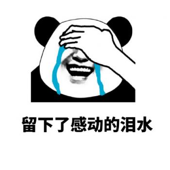 熊猫图片 _ 第(6)张