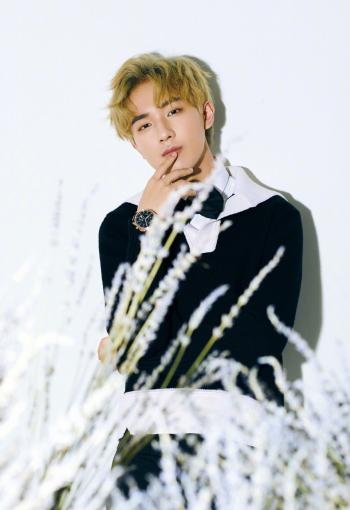 大陆内地男演员李宏毅帅气不羁时尚写真图片第3张