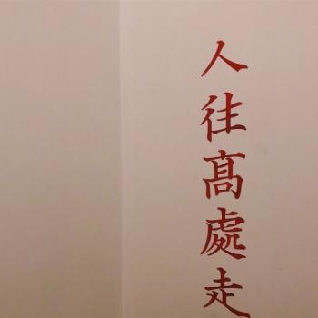 女头像图片图片 _ 第(16)张