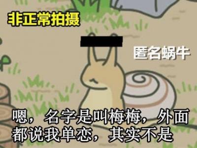 第2张