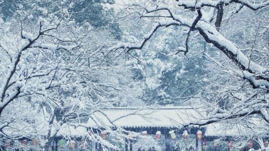 校花美女学生妹冬季雪景养眼迷人写真图片第2张