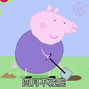 第0张
