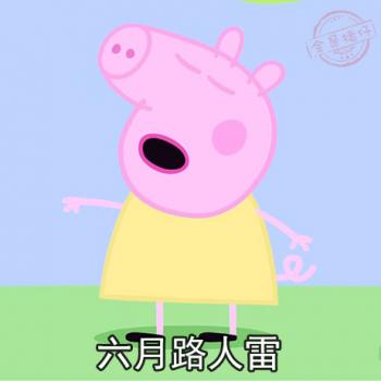 第3张