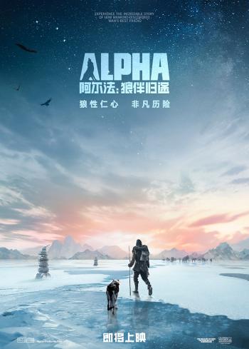 图片 _ 第(3)张