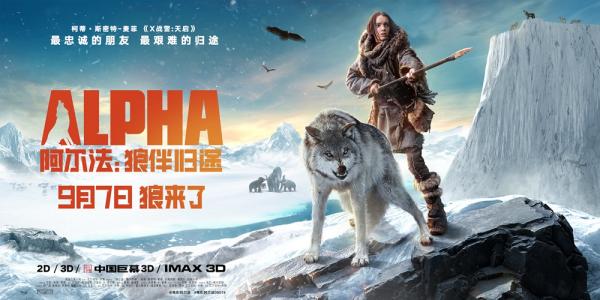 雪中动物冬季雪地上的狼图片桌面壁纸高清下载第一辑第6张