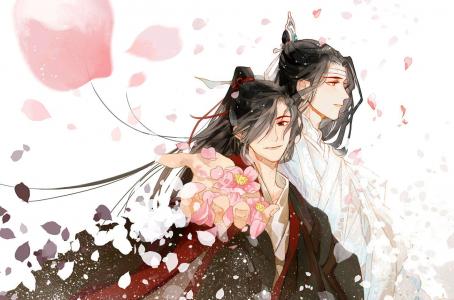 《魔道祖师》魏无羡蓝忘机卡通图片第4张