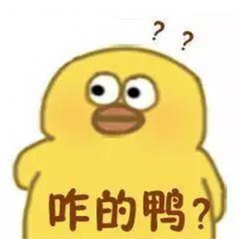小黄鸭图片 _ 第(9)张
