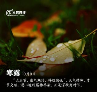 节日图片 _ 第(8)张