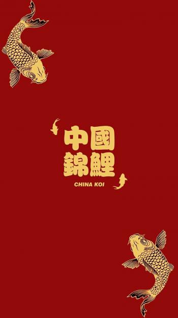 图片 _ 第(3)张