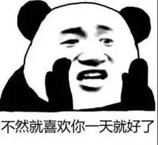 可爱的大熊猫GIF动图：憨态可掬的大熊猫第6张
