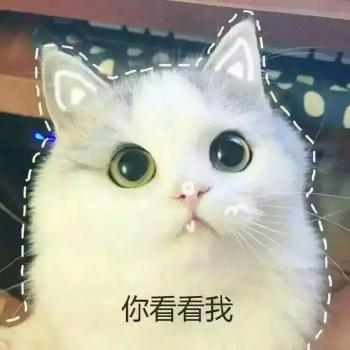 撒娇图片图片 _ 第(1)张