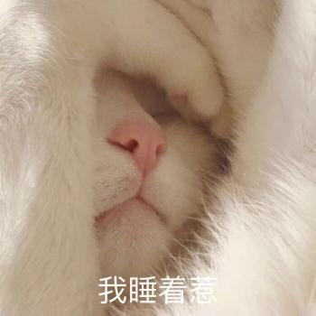撒娇图片图片 _ 第(5)张