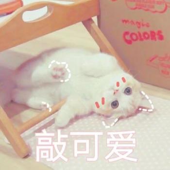 撒娇图片图片 _ 第(7)张