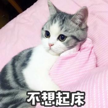撒娇图片图片 _ 第(9)张