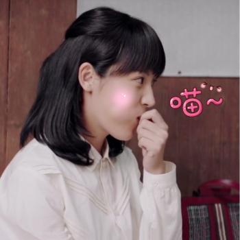 小猫图片 _ 第(4)张