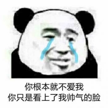 熊猫图片 _ 第(8)张