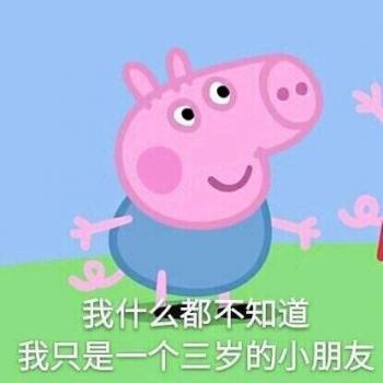 小猪佩奇恶搞表情包图片 社会人专用表情包图片第5张