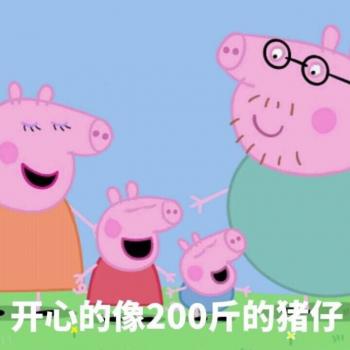 小猪佩奇恶搞表情包图片 社会人专用表情包图片第6张