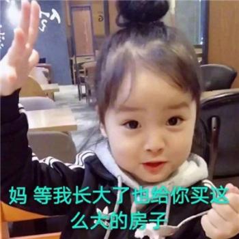 权律二图片 _ 第(6)张