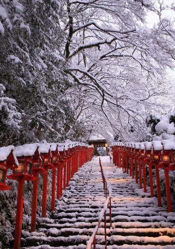 王丽坤清纯靓丽雪景写真图片第6张