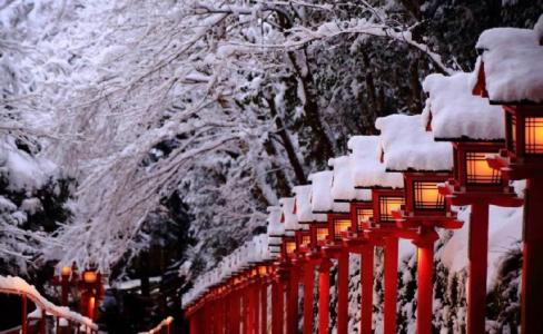 雪景图片 _ 第(8)张