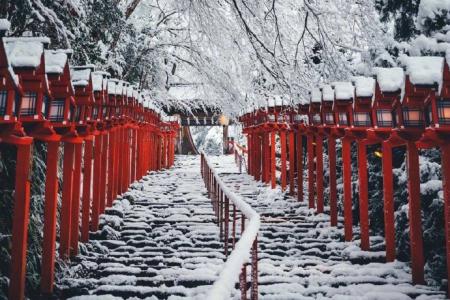 雪景图片 _ 第(10)张