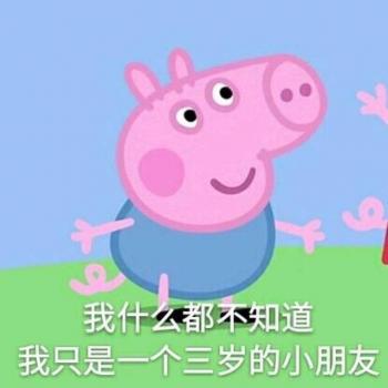 第0张