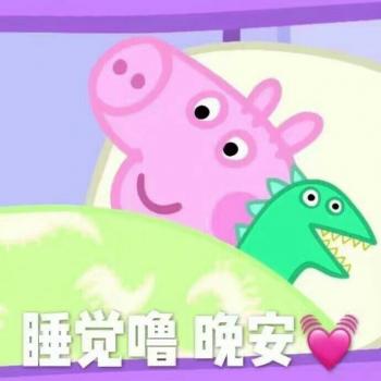 第3张