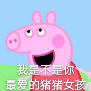 小猪佩奇图片 _ 第(8)张