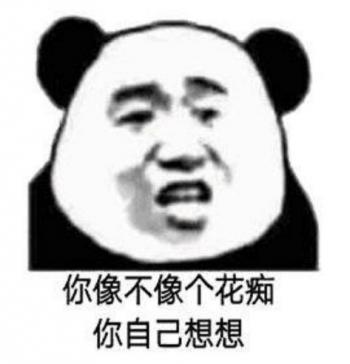熊图片第3张