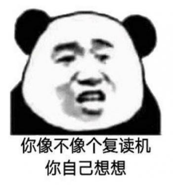 熊图片第4张
