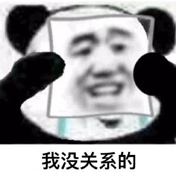 熊猫图片 _ 第(8)张