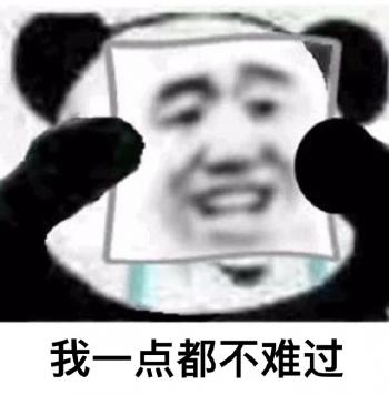 熊猫图片 _ 第(9)张