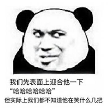 熊图片第0张
