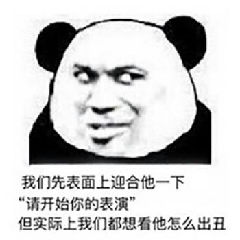 熊图片第2张