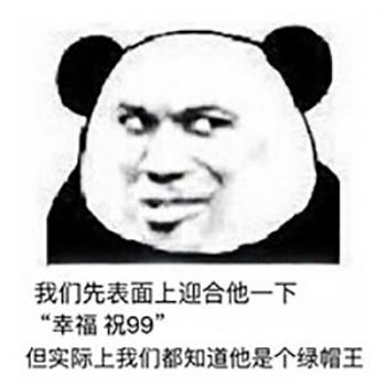 熊图片第3张