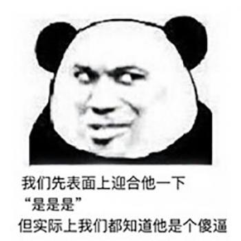 熊图片第4张