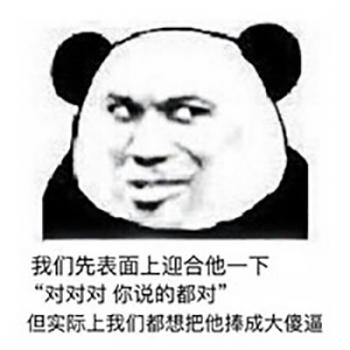 熊图片第5张