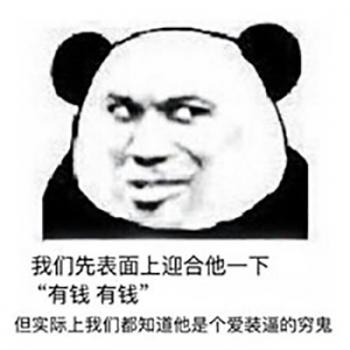 熊图片第6张