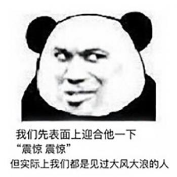 熊猫图片 _ 第(10)张